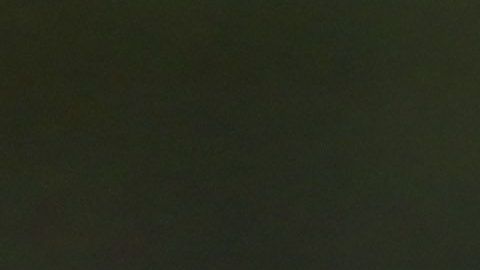 Miguel Herrera no está informado sobre el caso de Ibarra.