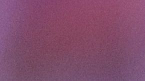 Los Tigres son el primer lugar con 16% de probabilidad para levantar la copa.