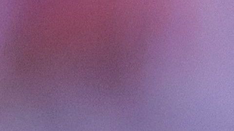 Los Tigres son el primer lugar con 16% de probabilidad para levantar la copa.