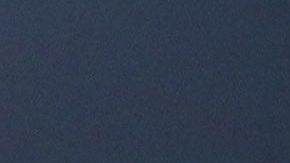 Henry Martin festejó quitándose la playera.