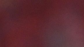 Un hombre tuvo que ser resguardado en la cancha.