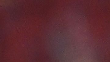 Un hombre tuvo que ser resguardado en la cancha.