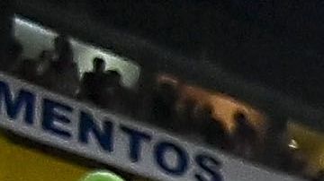 Un sector de la tribuna no siguió la dinámica.