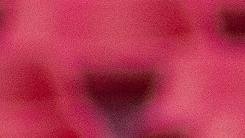 Los empleados del Estadio Caliente tardaron en aplicar el gel a los aficionados.