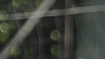 Morrison Palma es una de las grandes promesas de la cantera del América.