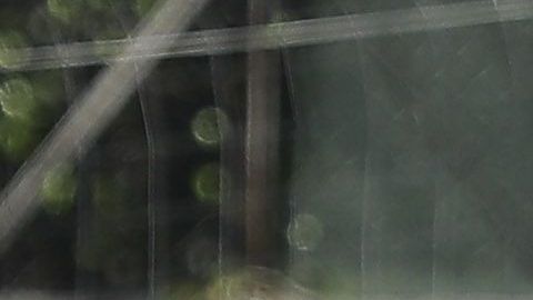 Morrison Palma es una de las grandes promesas de la cantera del América.