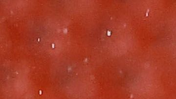 Jesús Corona detuvo el penal que significaba el empate para el América.