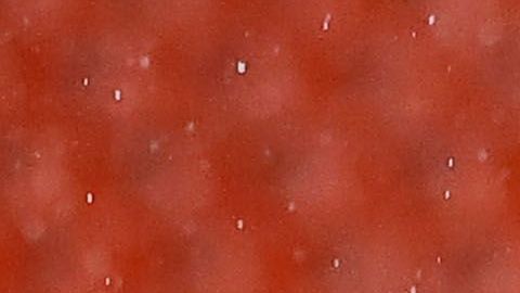 Jesús Corona detuvo el penal que significaba el empate para el América.