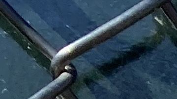 La orden es que las personas no vayan en grupo a los parques en Nueva York.