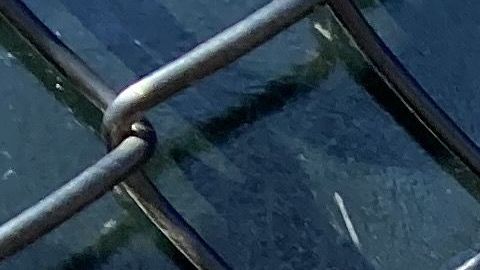 La orden es que las personas no vayan en grupo a los parques en Nueva York.