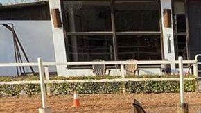 Elvis Crespo se confesó con Raúl González.