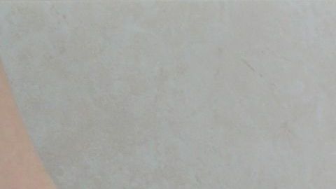 Para prevenir la formación de moho y sarro, el interior de la taza del inodoro debe lavarse y tallarse semanalmente con un cepillo de cerdas duras.