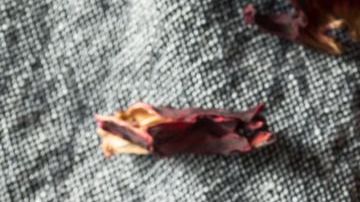 Dry Organic Jamaica Flower Hibiscus