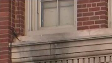 James Madison High School, Sheepshead Bay