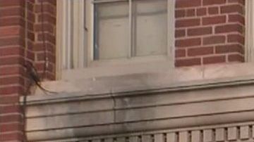 James Madison High School, Sheepshead Bay