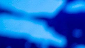 También hay otros multimillonarios que tuvieron pérdidas importantes esta semana.