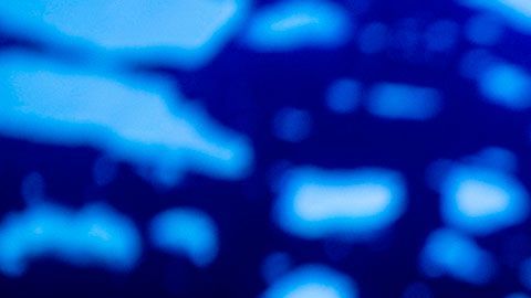 También hay otros multimillonarios que tuvieron pérdidas importantes esta semana.