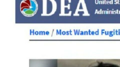 Jesús Alfredo Guzmán Salazar, alias Alfredillo