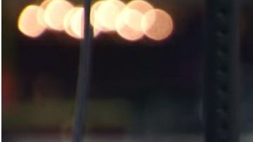 Quinnen Williams (22)