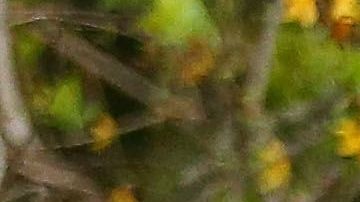 John Terry y su esposa Toni