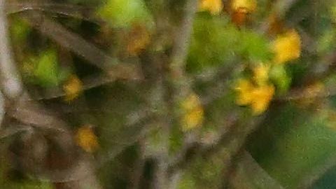 John Terry y su esposa Toni