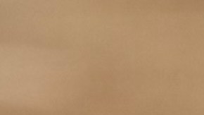 José Álvarez es sobreviviente de cáncer y lleva una vida normal jugando futbol. (Javier Quiroz / La Raza)