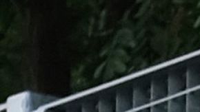 Justin y Hailey Bieber.