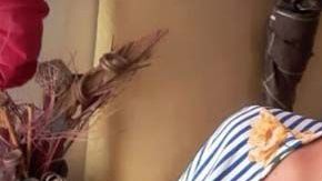 Katherine Y. Ruiz recibió un balazo en el abdomen por parte de su esposo.