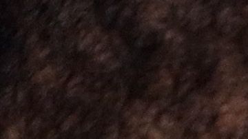 Kevin Durant, estrella de los Brooklyn Nets.