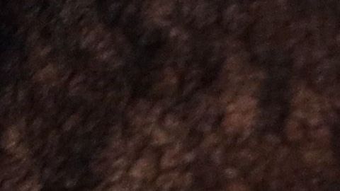 Kevin Durant, estrella de los Brooklyn Nets.