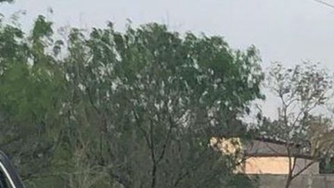 Hallan a mujer carbonizada, tenía signos de haber sido quemada viva en frontera de México