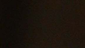 Un perro ayudó a salvar la vida de una anciana.