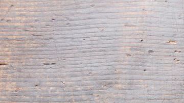 Langostinos-Lisovskaya-C