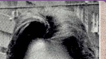 La científica Marie Curie (centro), nacionalizada francesa, fue la primera mujer en ganar un Premio Nobel.