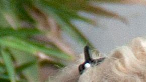 Niurka Marcos y Laura Bozzo.