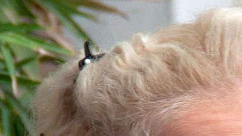 Niurka Marcos y Laura Bozzo.