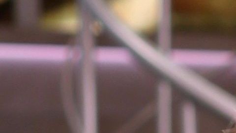 Lili Estefan y Raúl de Molina.