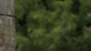 Los periodistas no podrán ver los ensayos, pero podrá acudir uno de cada medio a la ceremonia.