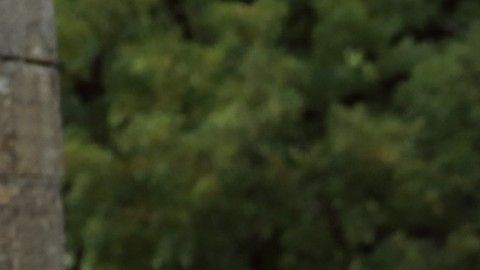 Los periodistas no podrán ver los ensayos, pero podrá acudir uno de cada medio a la ceremonia.