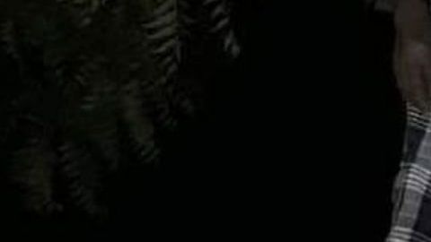 Lo ahorcan en árbol y en narcomensaje advierten que lo mismo pasará violadores y ladrones