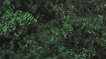 El significado de soñar que te persiguen.