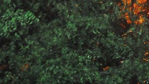 El significado de soñar que te persiguen.