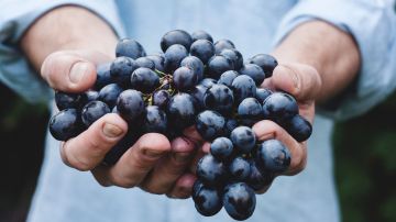 Las uvas son populares por su maravilloso contenido en antioxidantes.