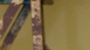 Mara Patricia Castañeda.