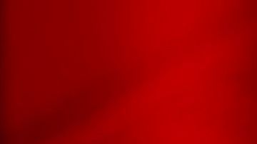 María Celeste Arrarás.