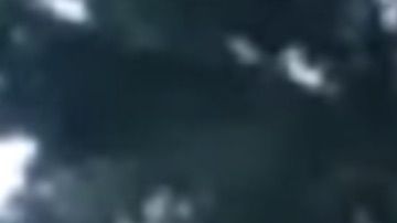 El alcalde del condado de Miami-Dade Carlos Giménez durante un mensaje grabado en video.