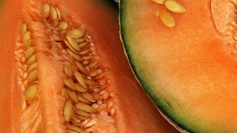 melón-pasja1000-Pixabay