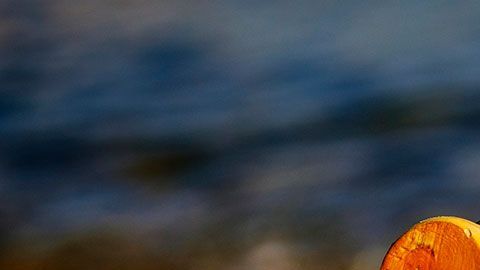 La botella fue lanzada al mar por un hombre de Nueva York.