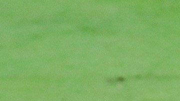 Lionel Messi se quedó con las ganas de celebrar el gol del triunfo para el Barça.