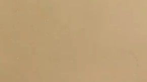 La pareja evió un mensaje a sus detractores en inglés y español.